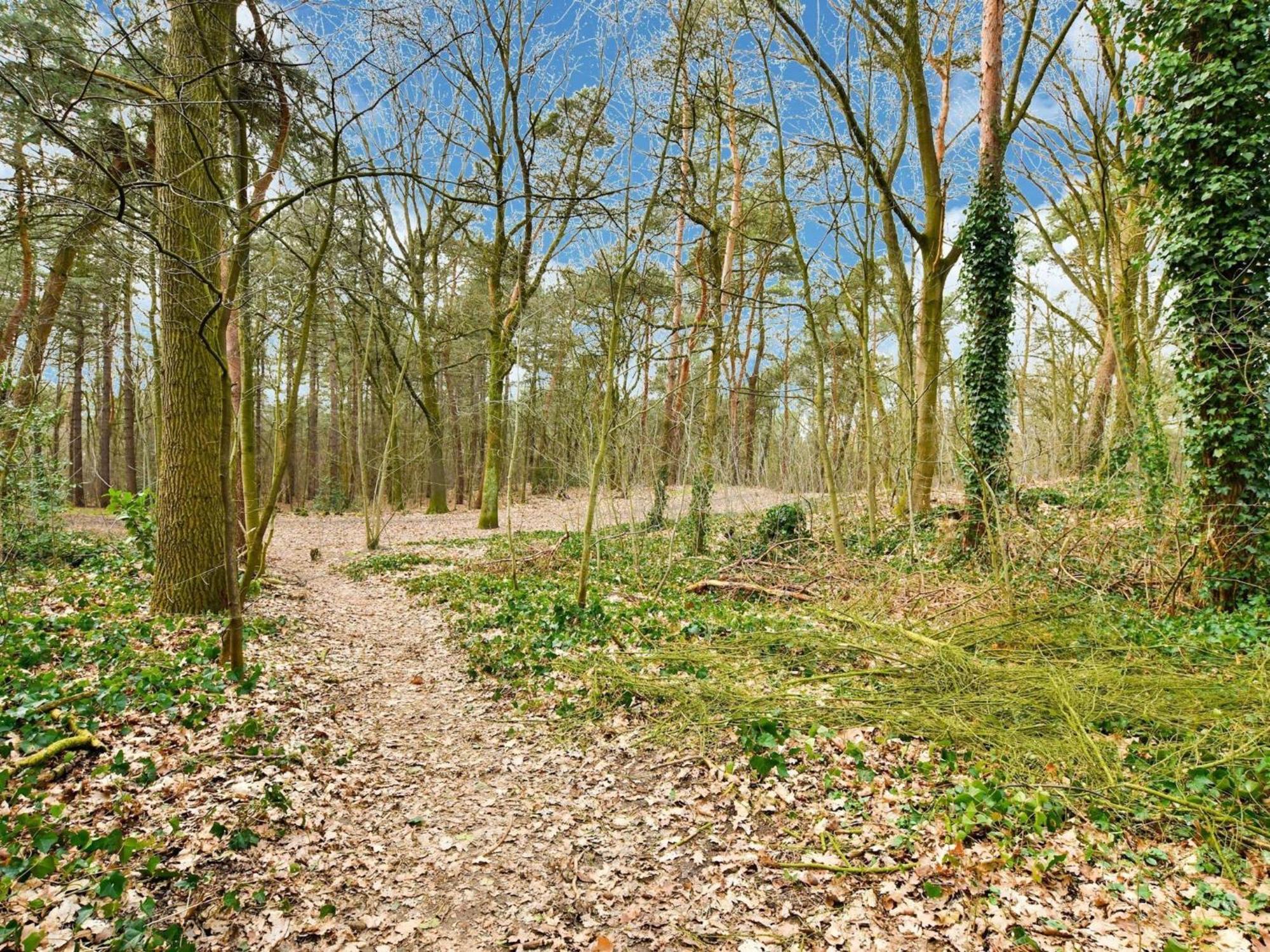 Stille Wille B13 Meijel Exterior foto
